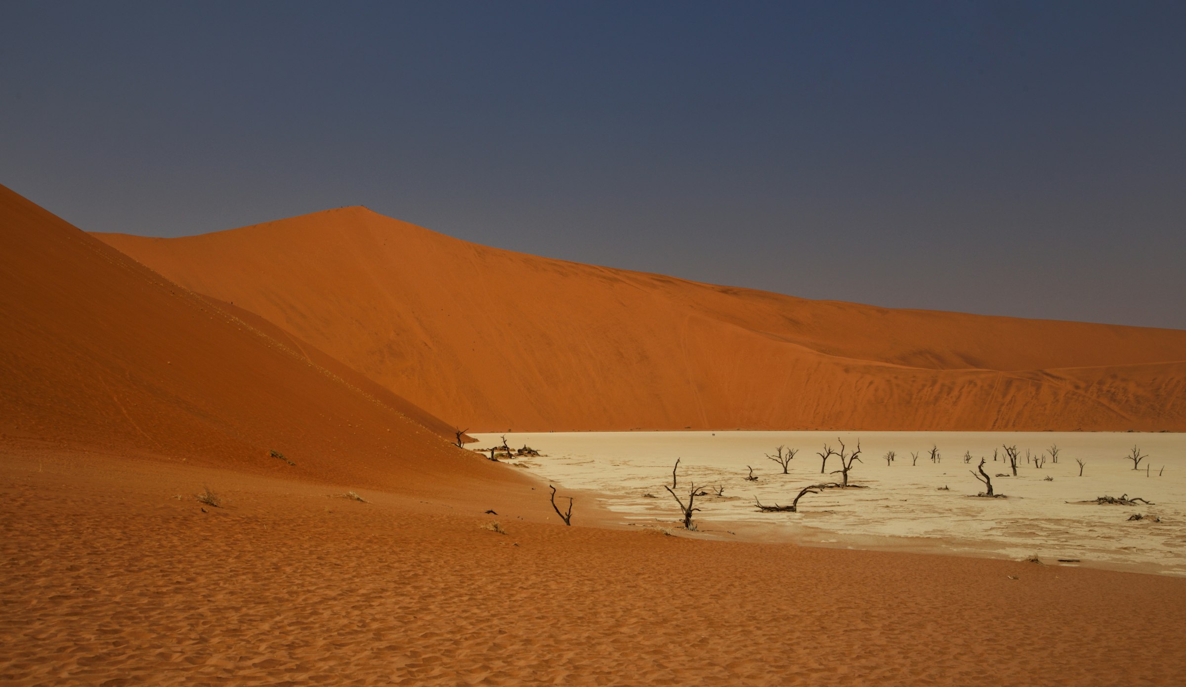 Deadvlei: árboles secos entre las dunas rojas de Sossusvlei, Namibia