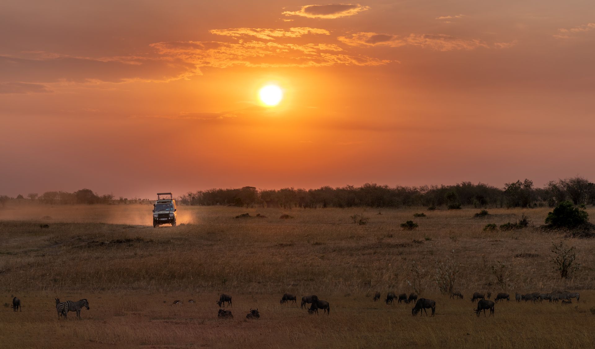 4x4 de safari al atardecer entre ñus y cebras